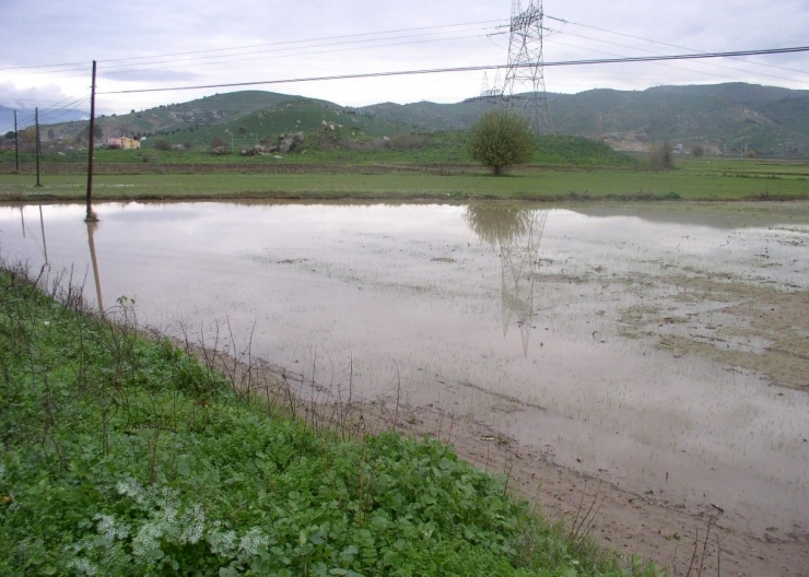 İklim Değişikliği Eğitimi Aydın’da Yapılacak