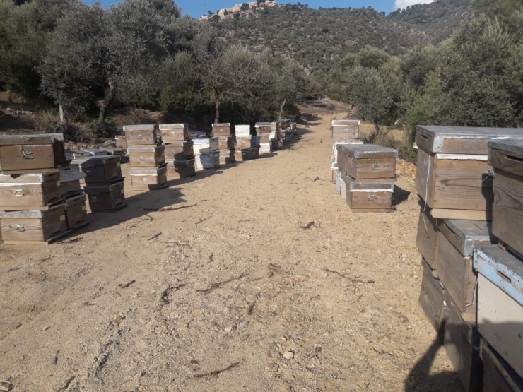 Böyle Sabotaj Görülmedi