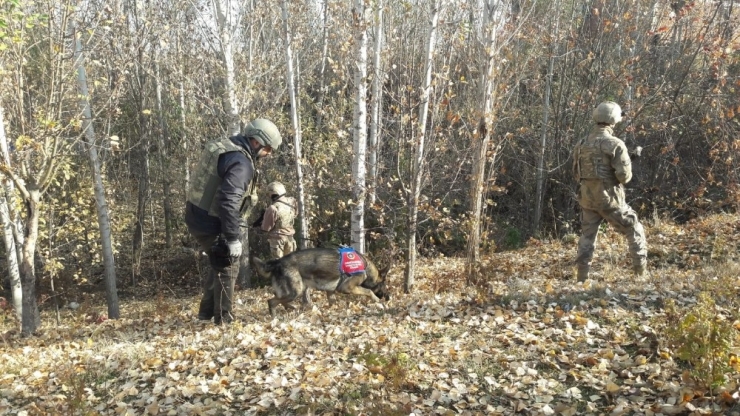 Araziye Gizlenen Toz Esrarı Narkotik Köpekleri Buldu