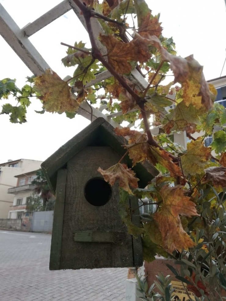 Yaşları Küçük Yaptıkları Örnek Davranış Büyük