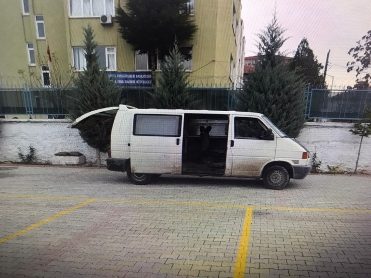 Çaldıkları Koyunlarla Yakalanan Şüpheliler Tutuklandı