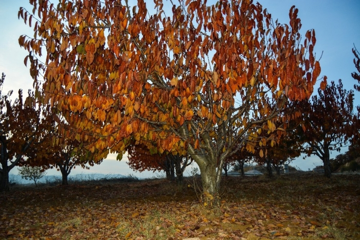Gördes’te Kartpostallık Sonbahar Manzaraları