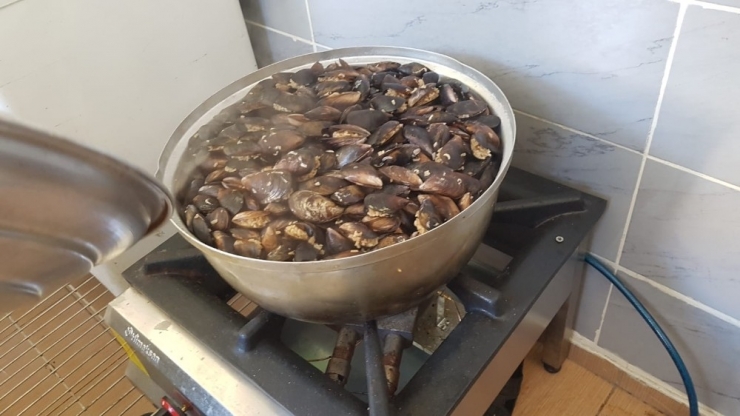 Ruhsatsız Midye İmalathanesi Kapatıldı