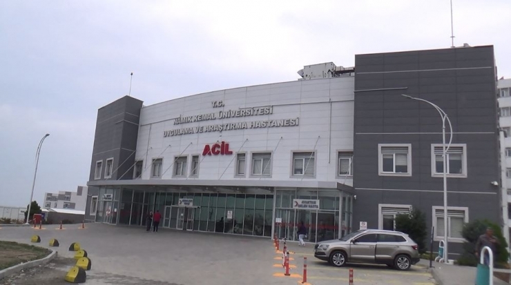 Sivrisinek Isırığı Ölümüne Neden Oldu