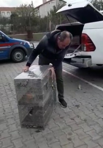 Su Deposunda 37 Saka Kuşu Ele Geçirildi