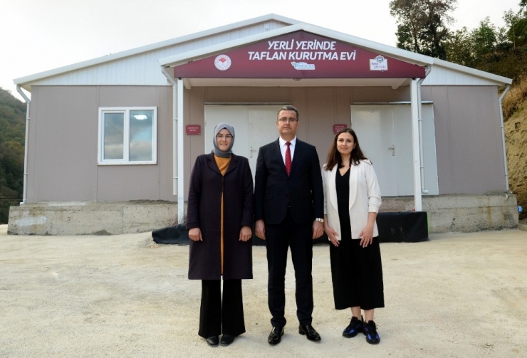 ‘Yerli Yerinde Taflan Projesi’ Hayata Geçirildi