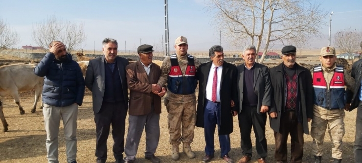 Çalınan Hayvanlar Sahibine Teslim Edildi