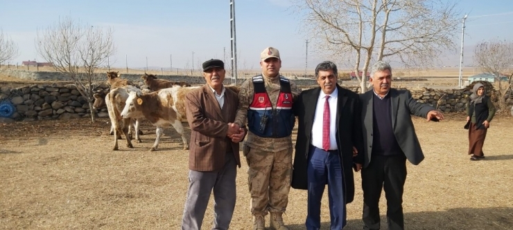 Çalınan Hayvanlar Sahibine Teslim Edildi