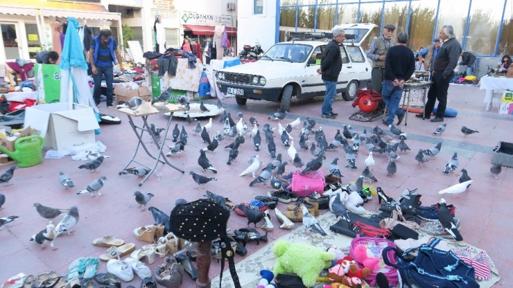 Kuşadası’nda Bit Pazarına Yoğun İlgi