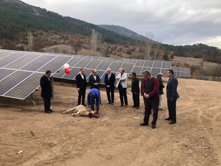 Bu İlçe Elektriğini Güneş Panellerinden Karşılıyor