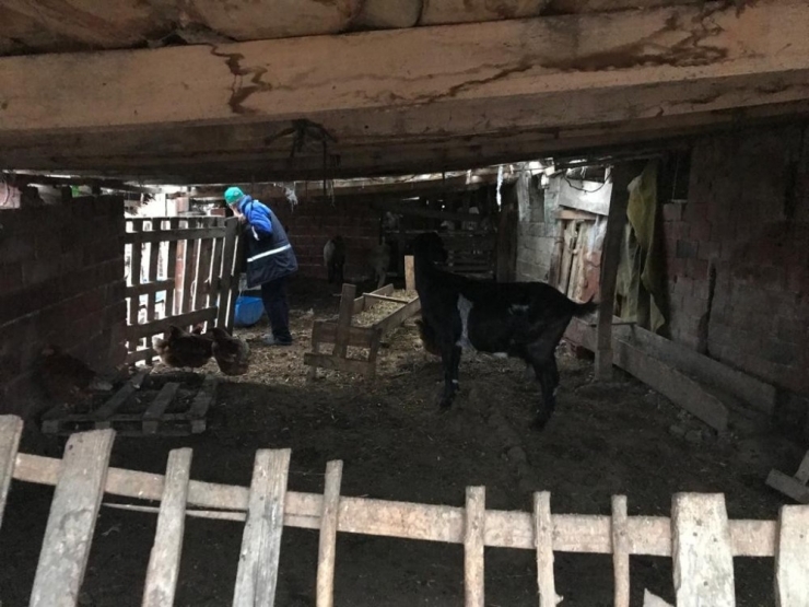 Jasat’tan Koyun Hırsızlarına Operasyon