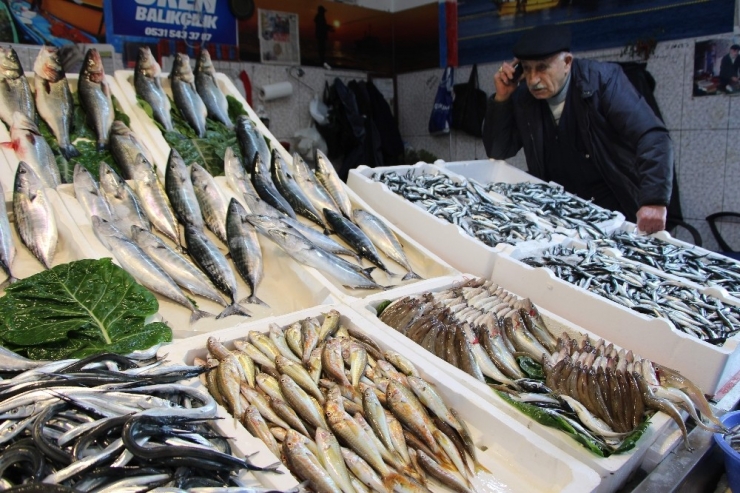 Mezgit Fiyatı Rekora Koşuyor