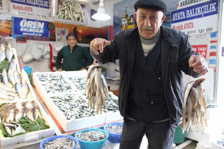 Mezgit Fiyatı Rekora Koşuyor