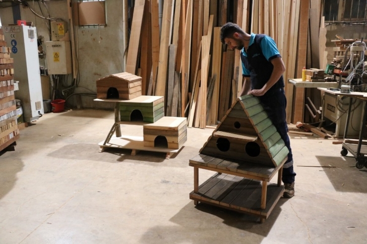 Büyükşehir’den Kedi Ve Kuş Evleri