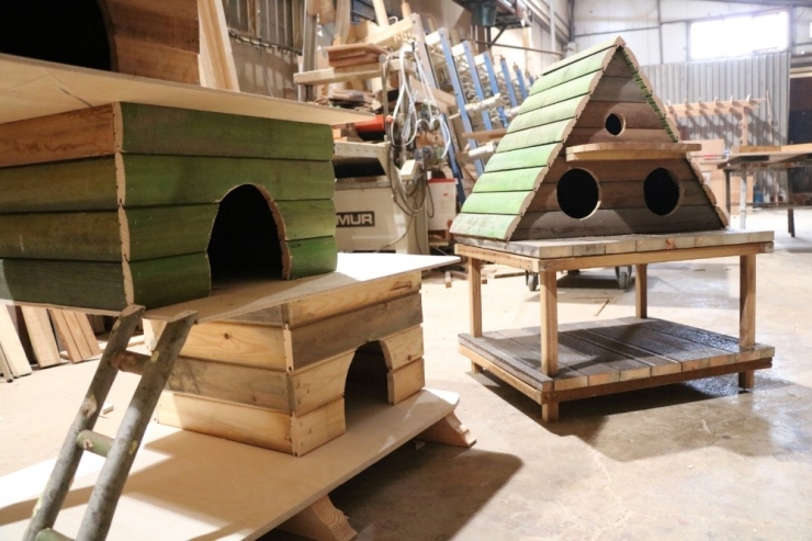 Büyükşehir’den Kedi Ve Kuş Evleri