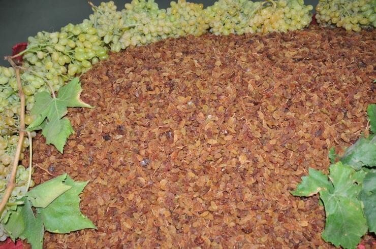 Türkiye Çekirdeksiz Kuru Üzüm Üretimi Ve İhracatında Birinciliğini Tescilledi