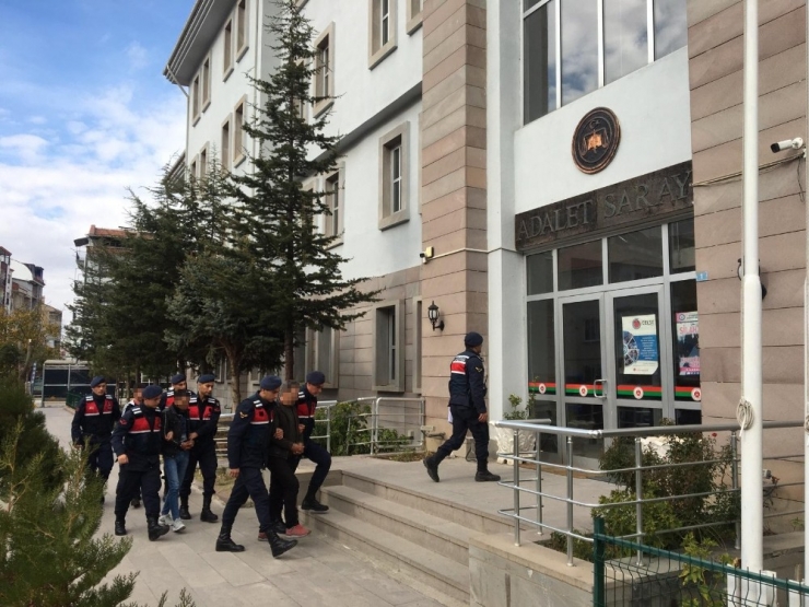 Büyükbaş Hayvanı Çalan Hırsızlar Serbest Bırakıldı