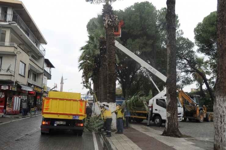Aydın Kışa Hazırlanıyor