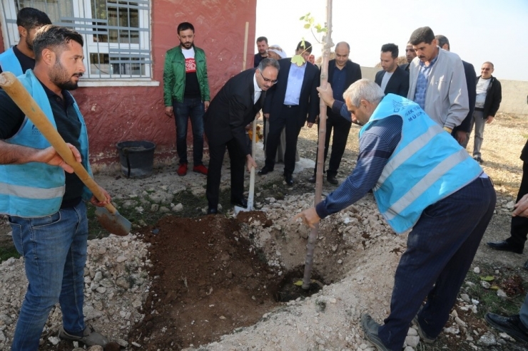 Başkan Kuş Öğretmenlerle Fidan Dikti
