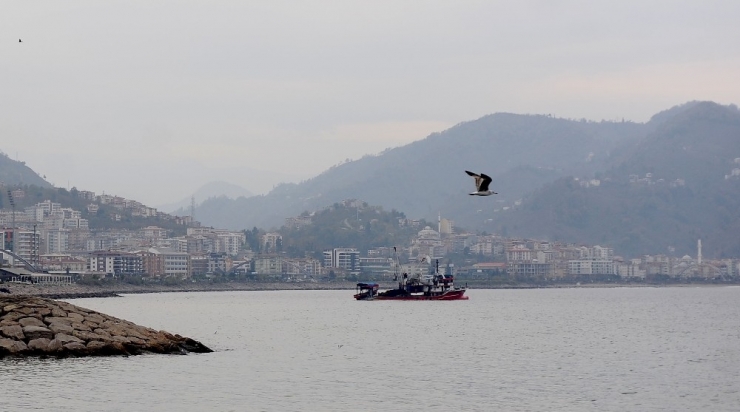 Giresunlu Balıkçılardan “Av Yasağı Eylül’de Değil Ekim’de Kalksın” Önerisi