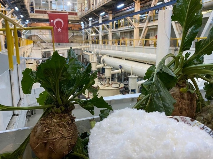 "Kayseri Şeker’in 3 Fabrikası Birbiriyle Yarışıyor"