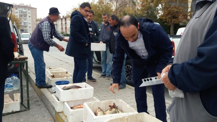 Satıcının El Konulmak İstenen Balıklarını Vermeme Mücadelesi Kamerada