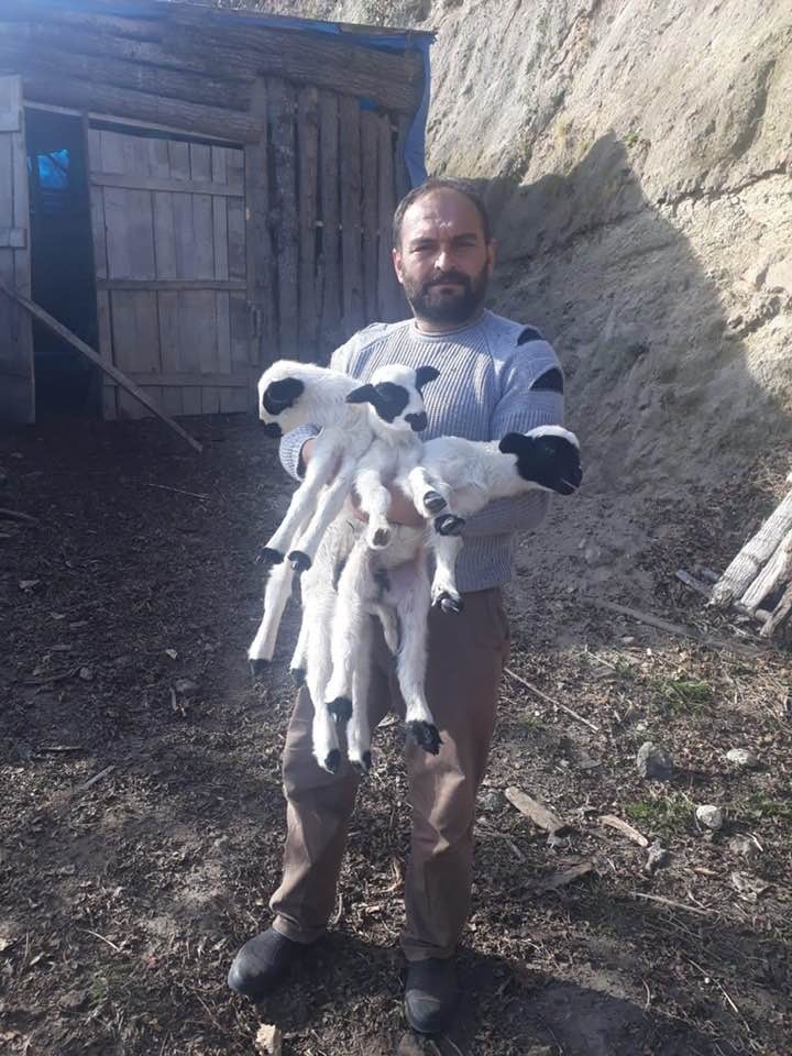 Ordu’da Hilmi Güler’in Projesi Meyvesini Veriyor