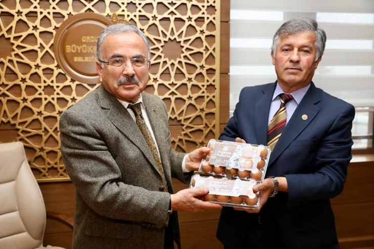 Ordulu Yumurta Üreticileri: “Balık Tutmayı Öğrendik”