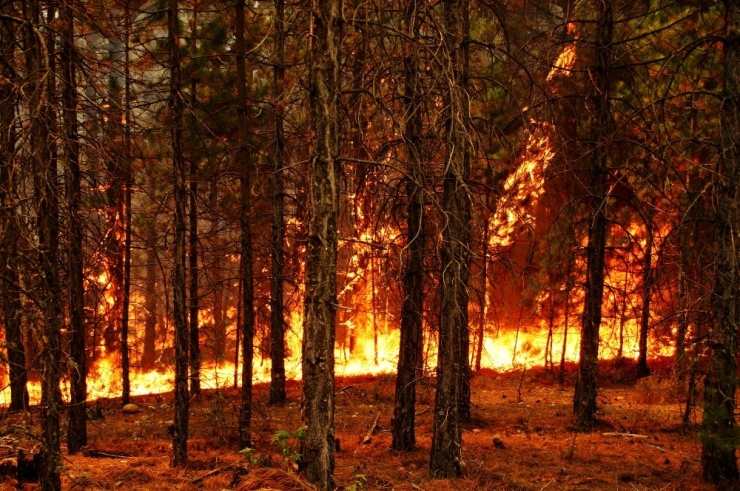 Yerel Yönetimce Düzenlenen İlk Çalıştay Olacak