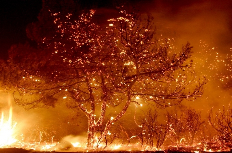 Yerel Yönetimce Düzenlenen İlk Çalıştay Olacak