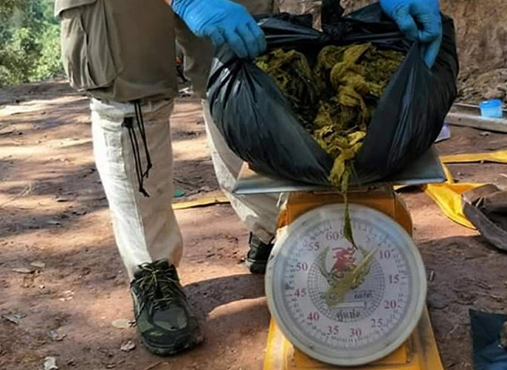 Tayland’ta Geyiğin Midesinden 7 Kilogram Çöp Çıktı