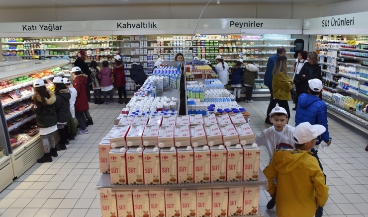 Gıda Dedektifleri İş Başında