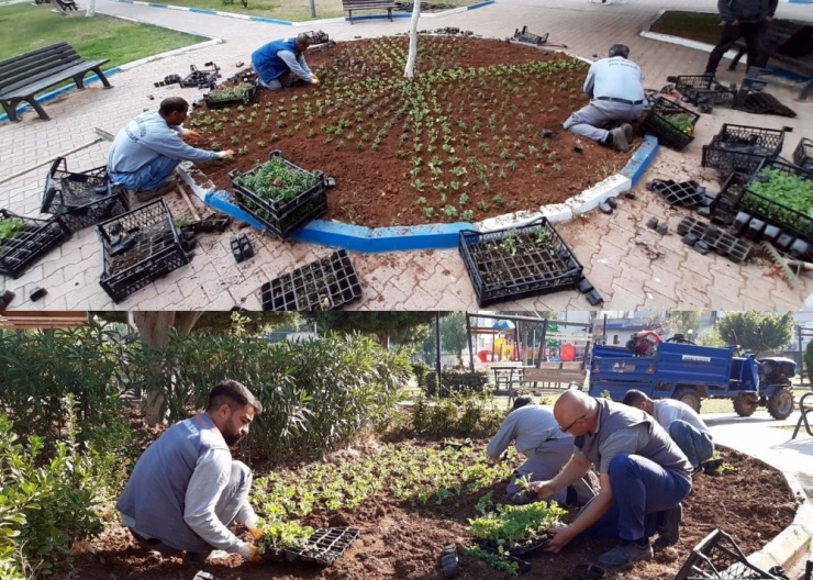 Akdeniz’de Parklar Çiçek Açıyor