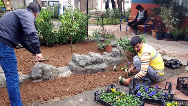 Akdeniz’de Parklar Çiçek Açıyor