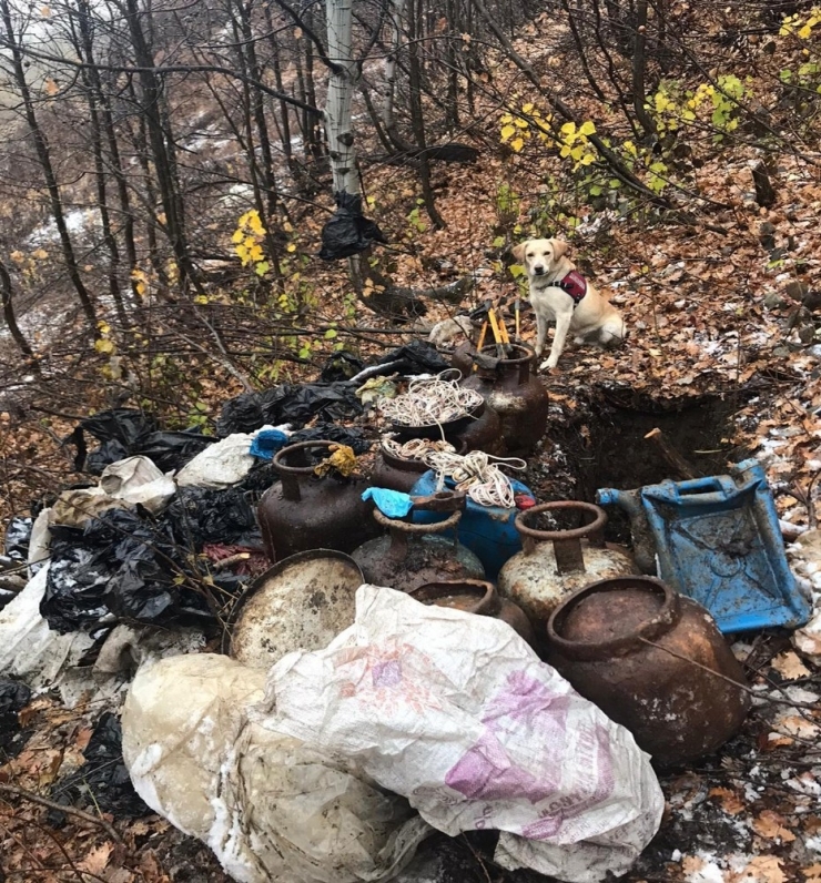 Bitlis’te 300 Kilo Eyp İmha Edildi