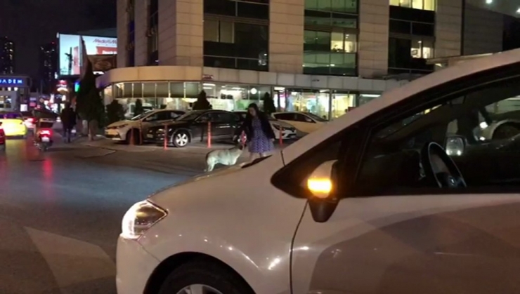 Kadın Sürücü Trafiği Durdurup, Yaya Geçidinde Bekleyen Köpeği Yolun Karşısına Geçirdi