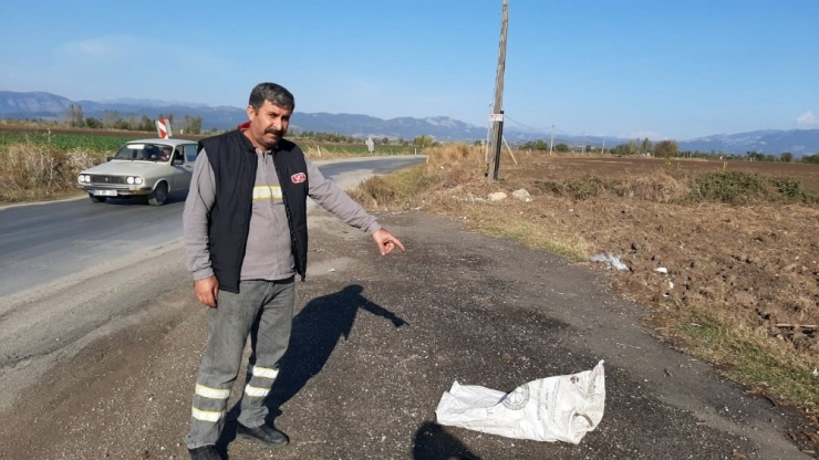 Hamile Köpeği Çuvala Koyup Yola Attılar