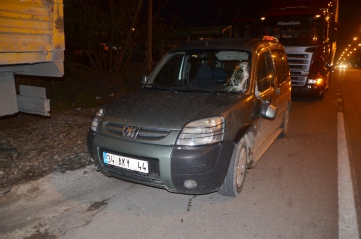 Aniden Yola Çıkan İnek Kazaya Yol Açtı