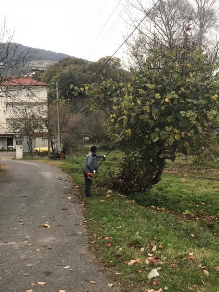 Sapanca’da Genel Temizlik