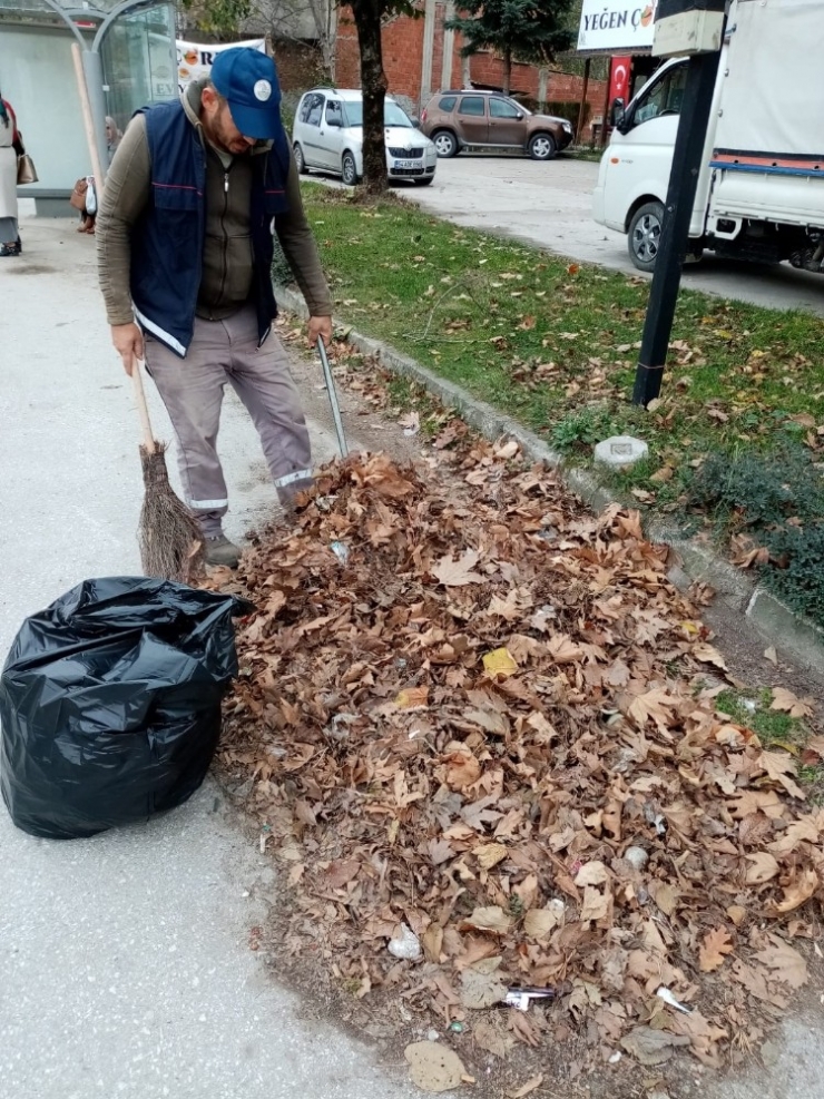 Sapanca’da Genel Temizlik