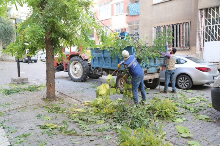 Daha Yeşil Bir Haliliye İçin Çalışmalar Sürüyor