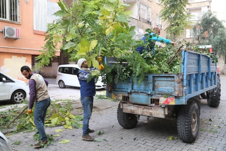 Daha Yeşil Bir Haliliye İçin Çalışmalar Sürüyor