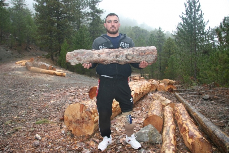 Sakat Bırakan Tomruk Onu Türkiye Halter Şampiyonu Yaptı