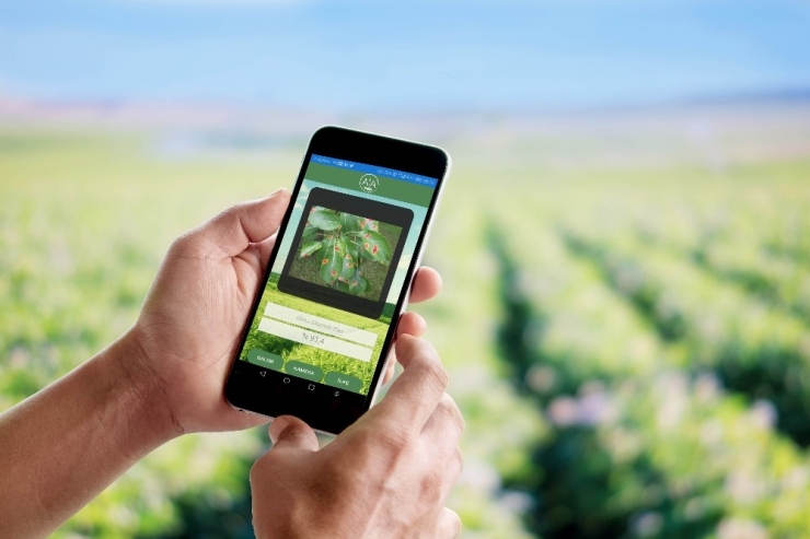 Çiftçi Fotoğraf Çekecek Hastalığı Öğrenecek