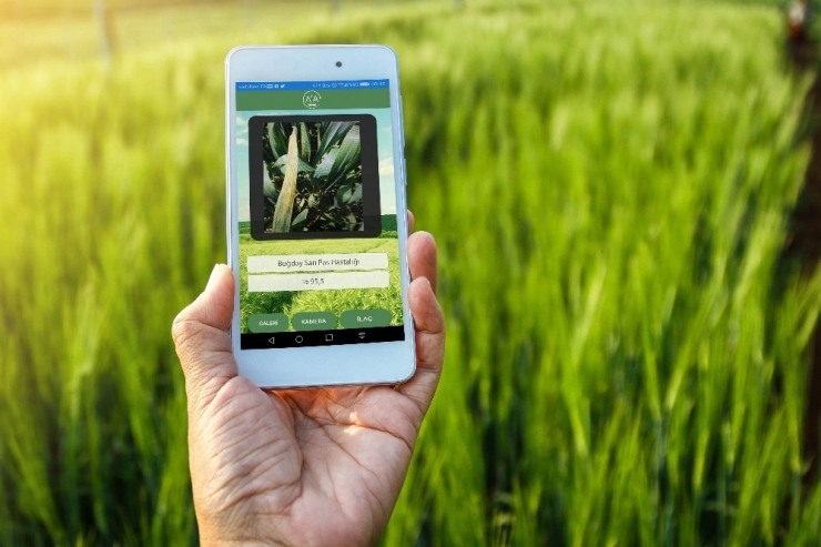 Çiftçi Fotoğraf Çekecek Hastalığı Öğrenecek