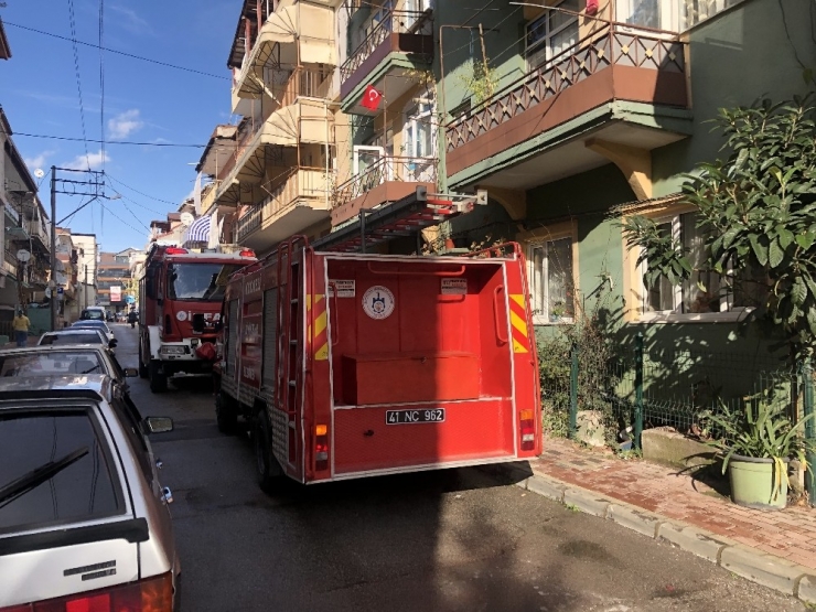 Yanan Evde Kuşunu Kurtarmak İsterken Hastanelik Oldu