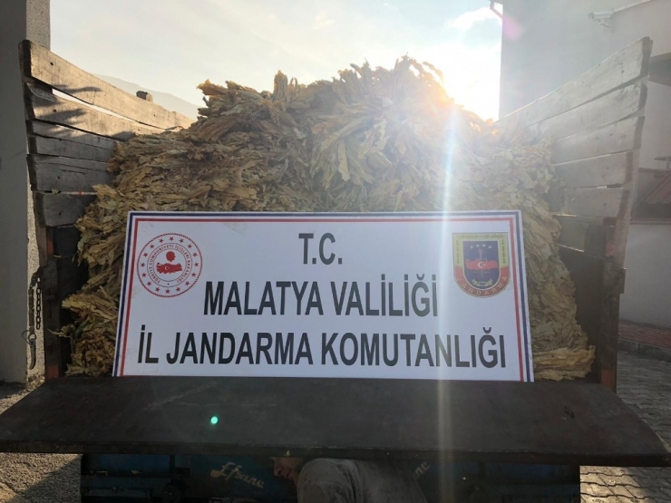 Tütün Hırsızları Yakalandı