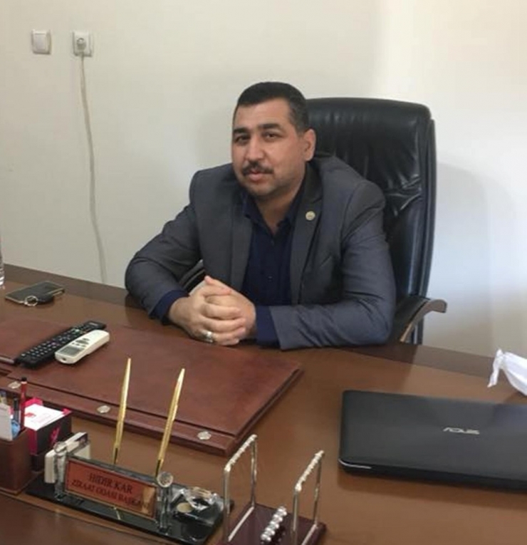 Zeytinyağı Fiyatları Tavan Yapma Tehlikesinde