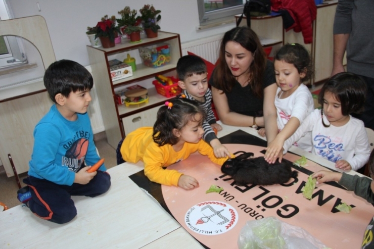 Kayıp Tavşanı Minikler Sahiplendi