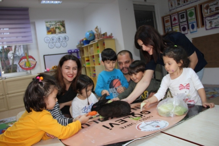 Kayıp Tavşanı Minikler Sahiplendi